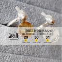 8/29-31京都ミネラルマルシェに出展します！